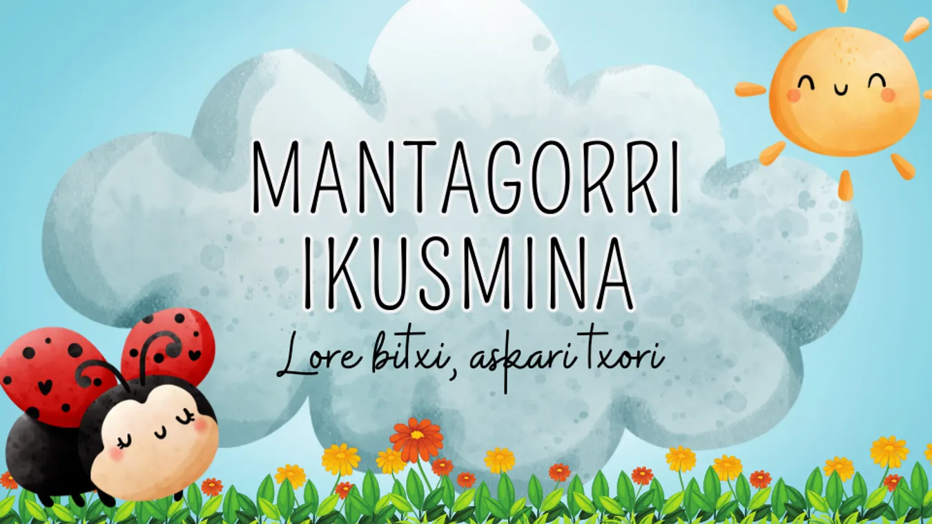 MANTANGORRI IKUSMINA